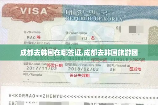 成都去韩国在哪签证,成都去韩国旅游团