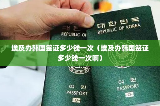 埃及办韩国签证多少钱一次（埃及办韩国签证多少钱一次啊）