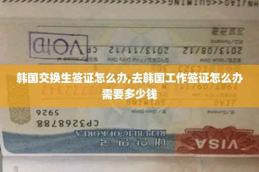 韩国交换生签证怎么办,去韩国工作签证怎么办需要多少钱