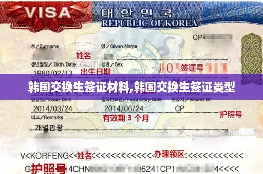 韩国交换生签证材料,韩国交换生签证类型