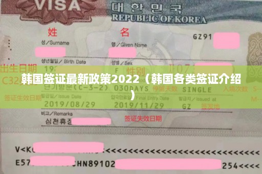 韩国签证最新政策2022（韩国各类签证介绍）