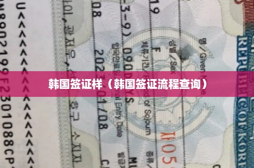 韩国签证样（韩国签证流程查询）
