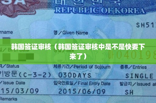 韩国签证审核（韩国签证审核中是不是快要下来了）