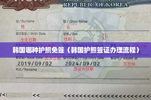 韩国哪种护照免签（韩国护照签证办理流程）