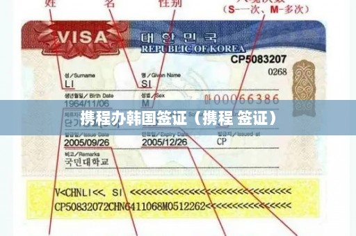 携程办韩国签证（携程 签证）