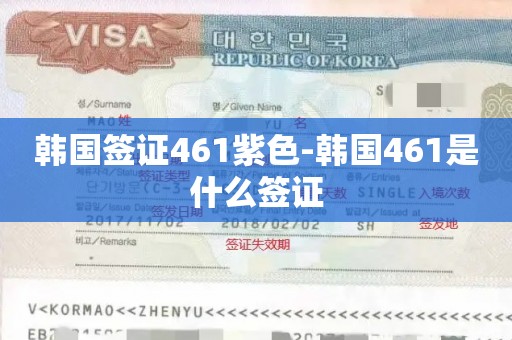 韩国签证461紫色-韩国461是什么签证