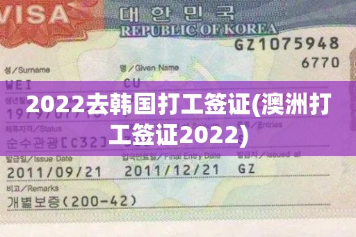 2022去韩国打工签证(澳洲打工签证2022)