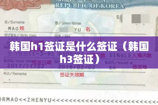 韩国h1签证是什么签证（韩国h3签证）